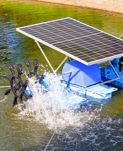 Pompes solaires pour l'aquaculture et l'entretien des rivières